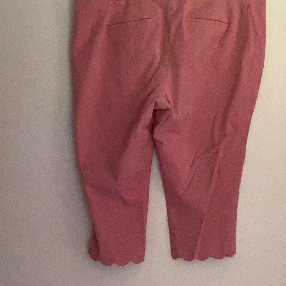 Capris - Picture 3 of 3